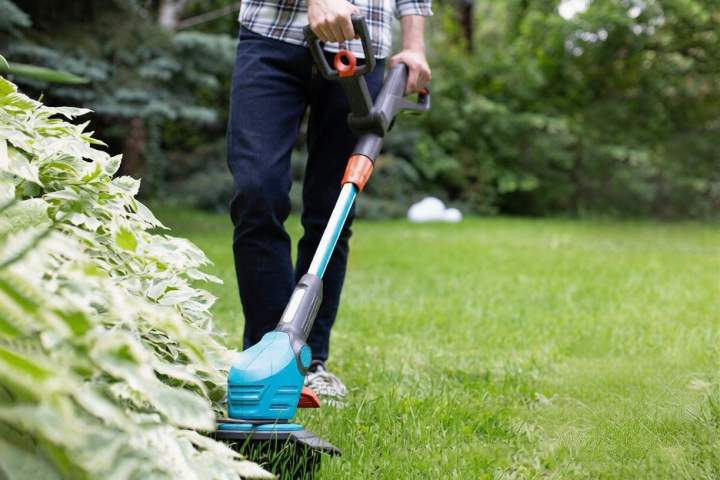 Debroussaillage jardin Chamalières