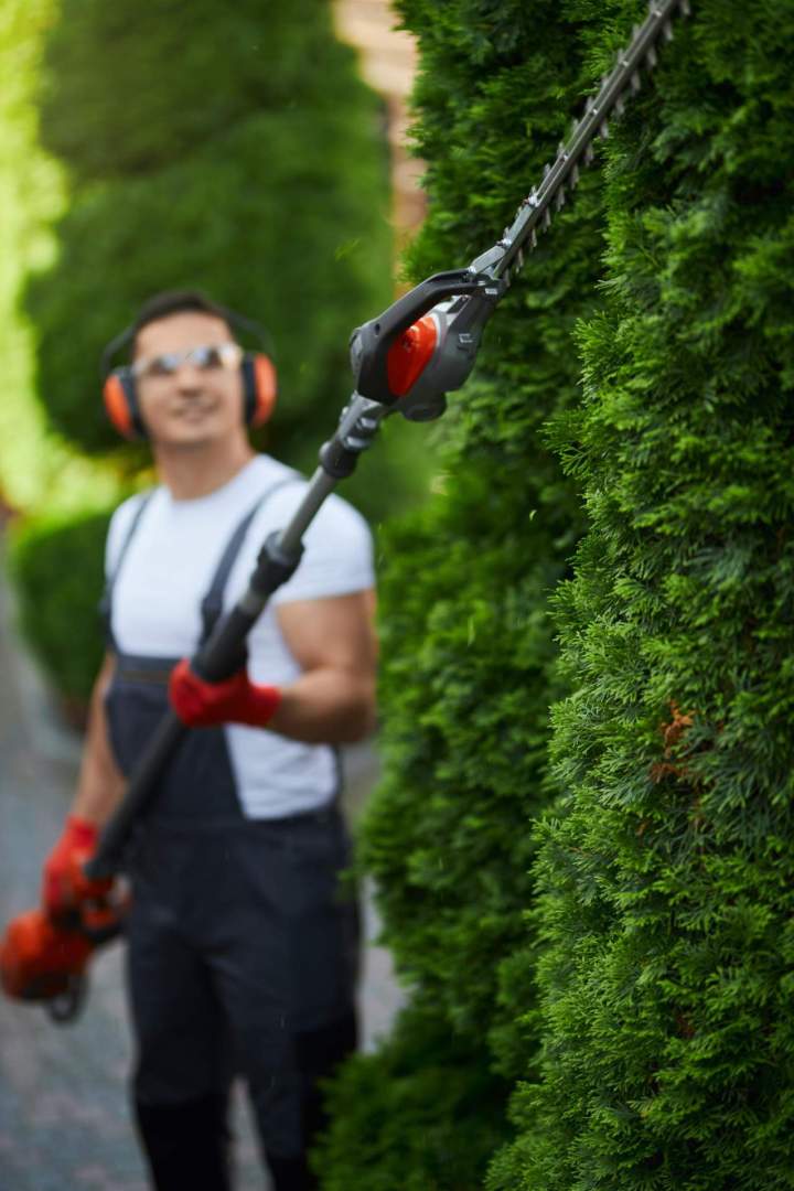 Entretien de jardin Chamalières