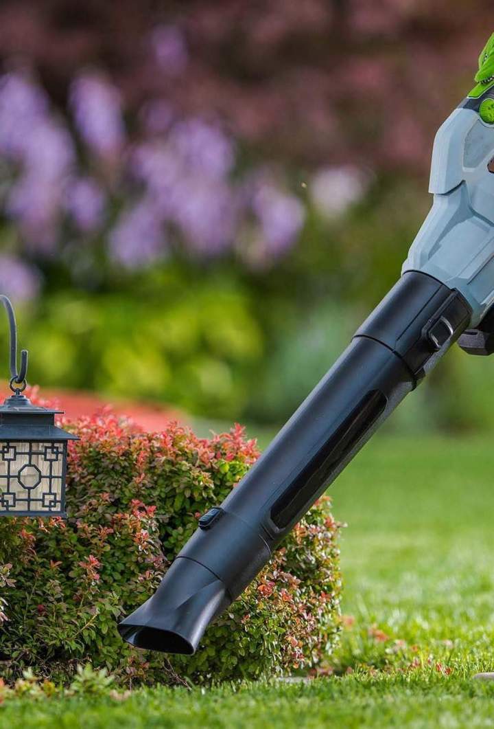 Nettoyage déchêt jardin Chamalières