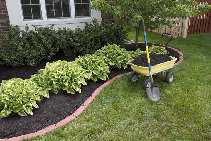 Aménagement et entretien de jardin Chamalières
