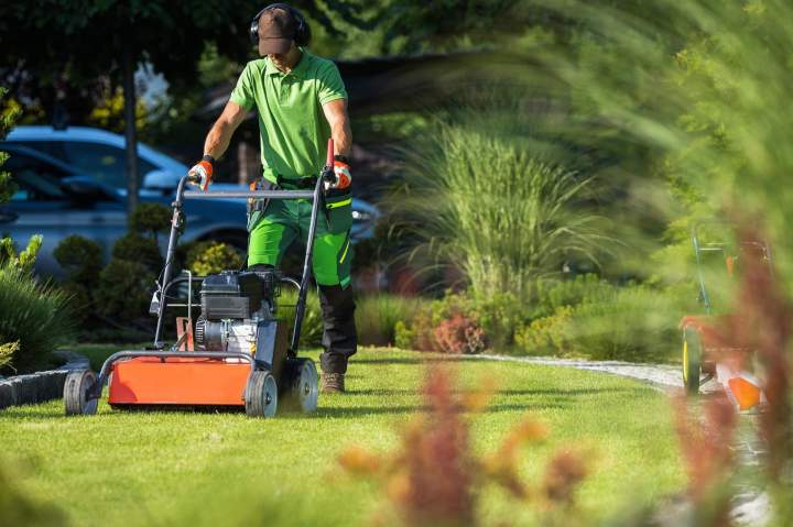 Entretien de jardin Chamalières